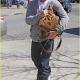Channing Tatum in New York for 'Son of No One' (JustJared.com)