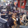 Jon M. Chu's Dog Monster Set of 'Step Up 3D'